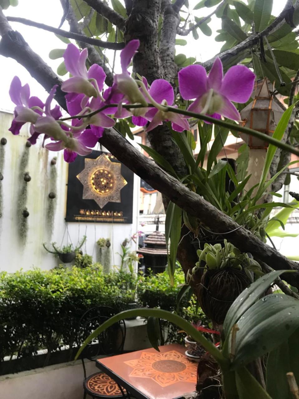 Wannamas Chiangmai Boutique House Hotel Chiang Mai Eksteriør billede
